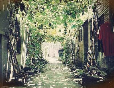 ӛ���������