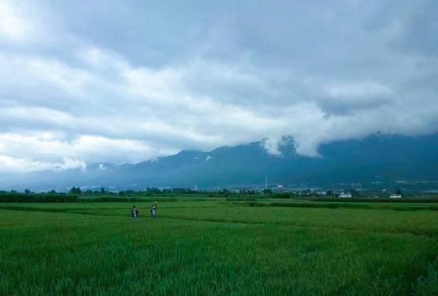 �������Ұ