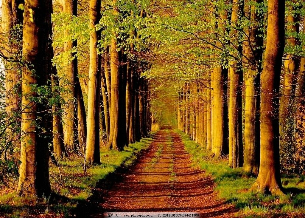 ���A��ˮ����δ����r·