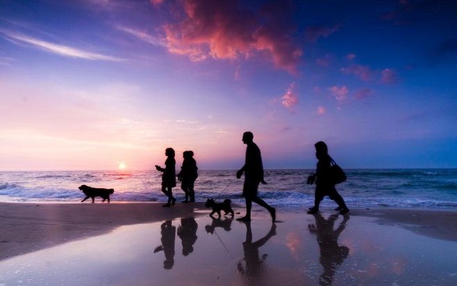 家,幸福的港灣 家,幸福的港灣