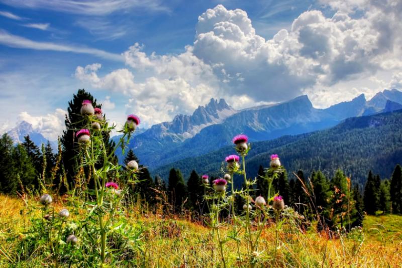 �ƾ�����