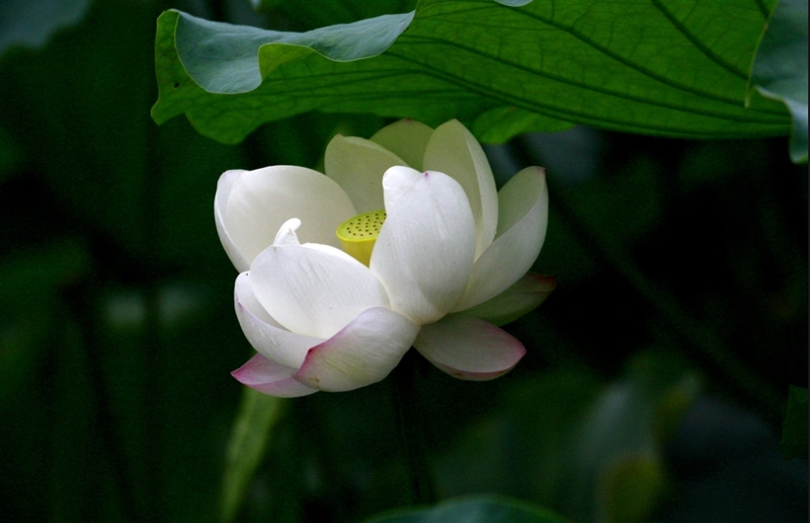 ���ı��oȾ�����o��Ȼ��