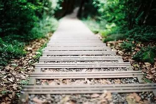 ���ı��oȾ�����o��Ȼ��