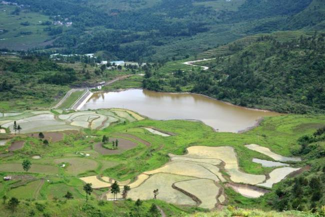 ��һ���l��ĸ��{