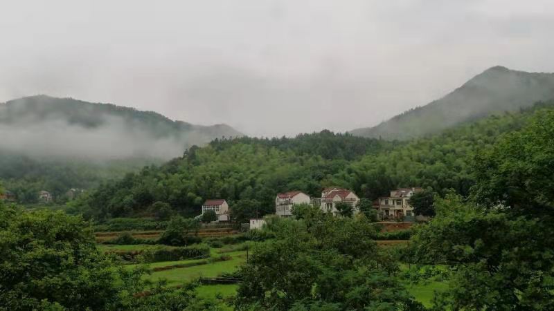�o������