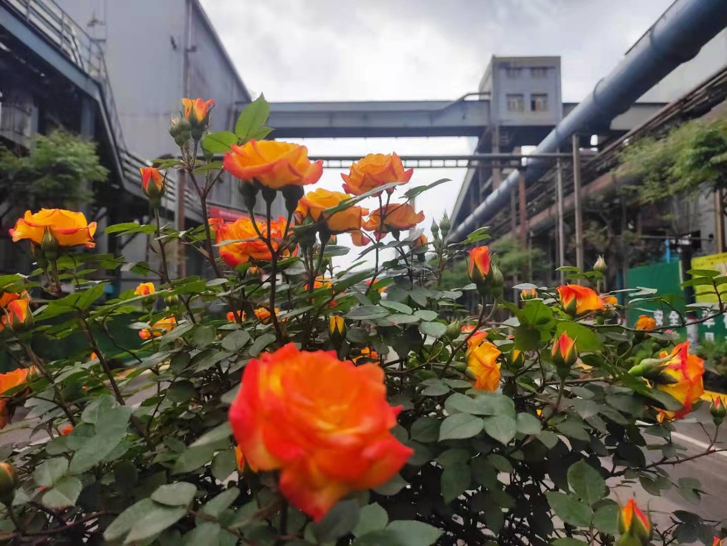 ���䓳�����������