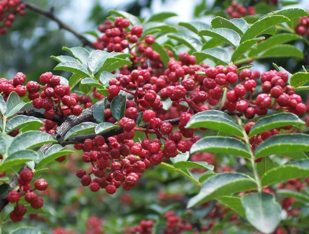 �nԭ���������h