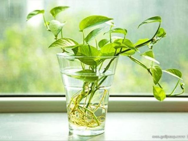 �G�}���z��