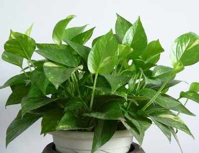 �G�}���z��