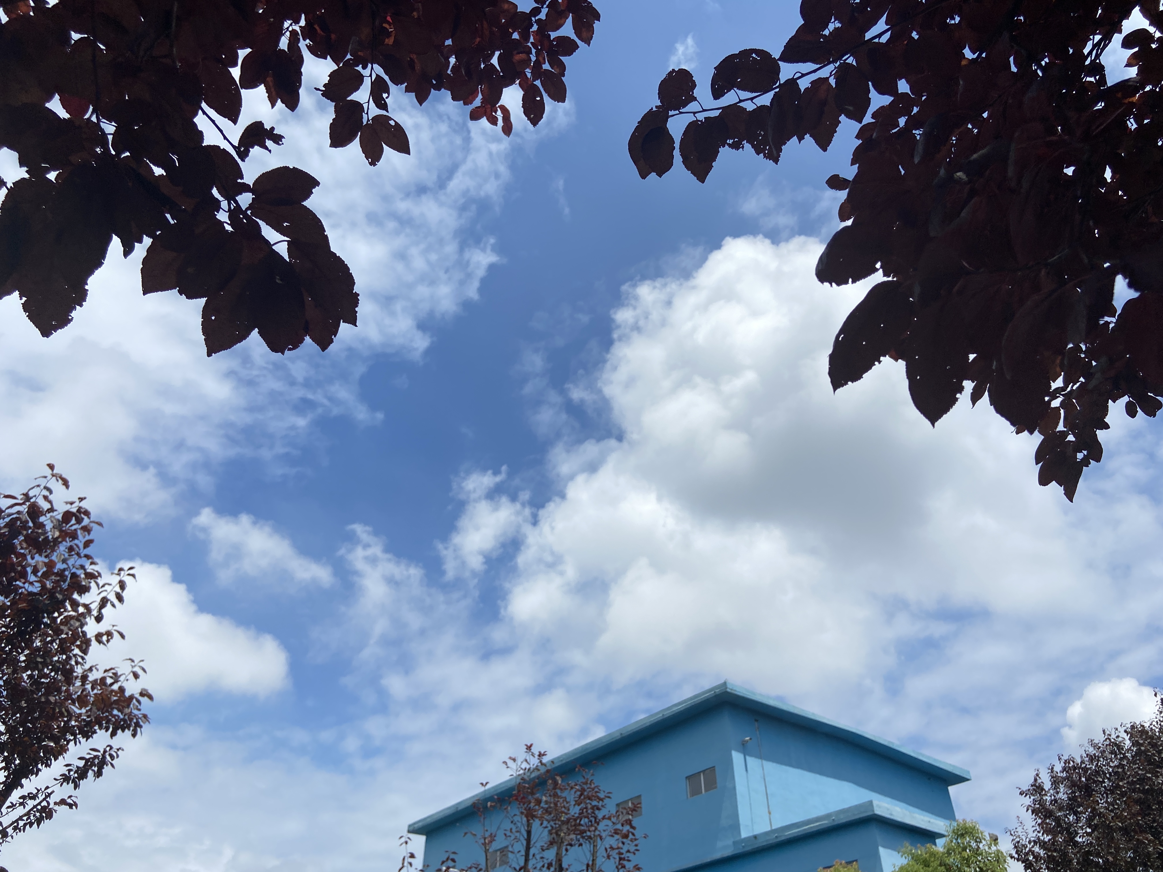 һ����������䓳ǵ���