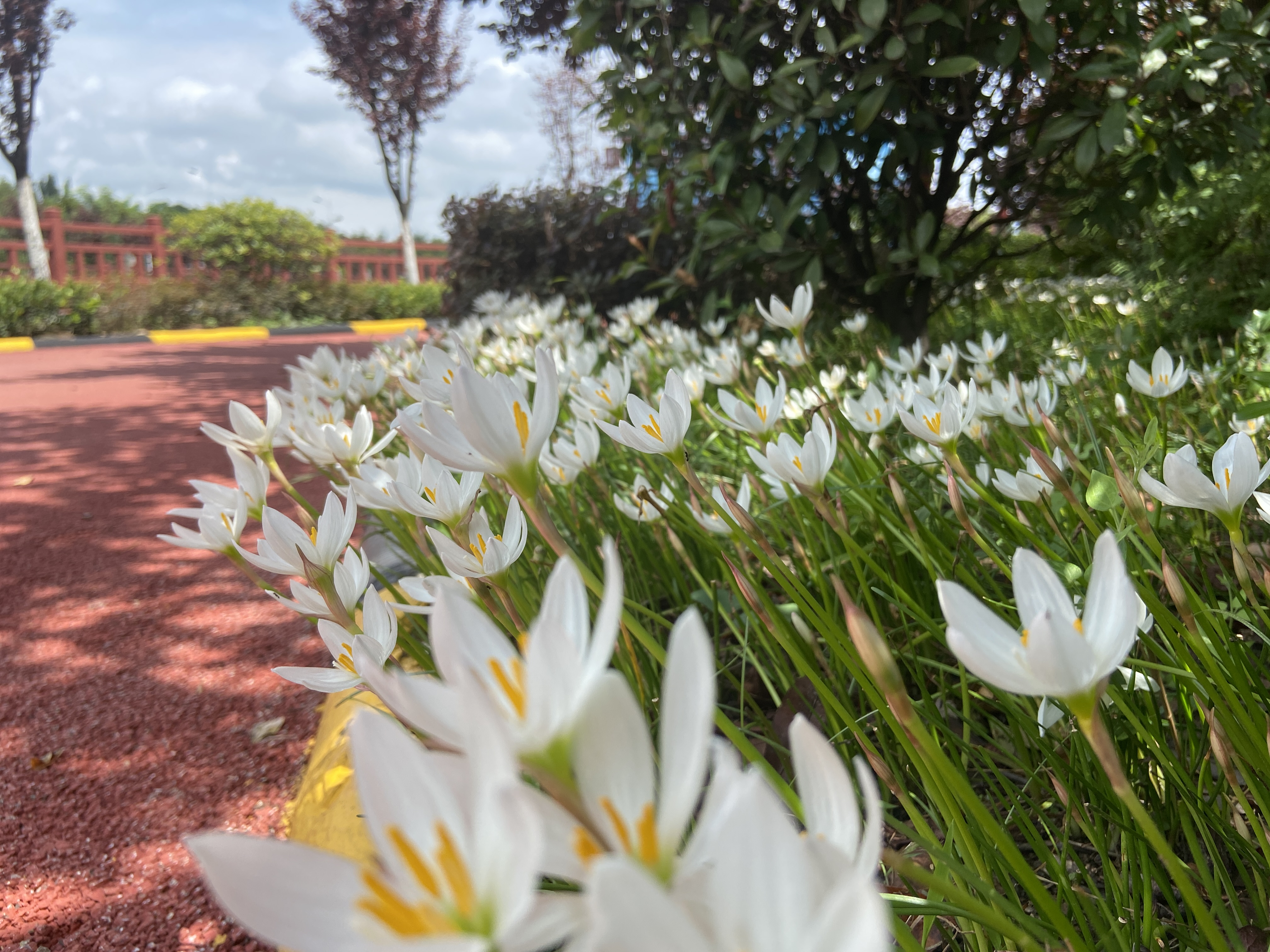 һ����������䓳ǵ���