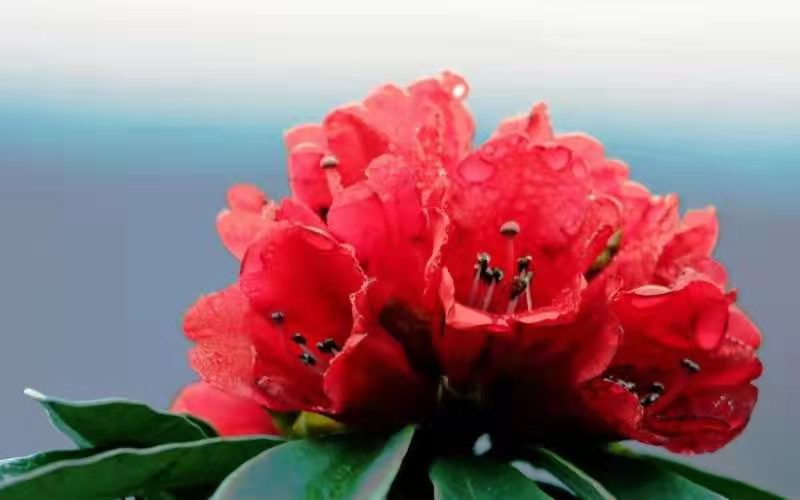 ��Ҋ���N�t