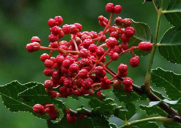 ����׷��