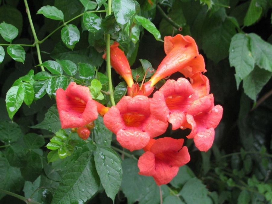 �����Ļ�֮�k��