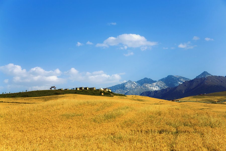 �������