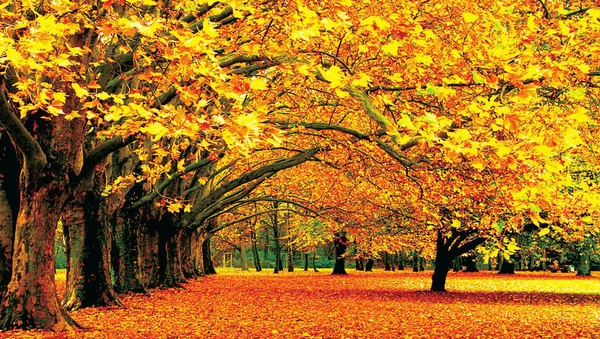 ���M����