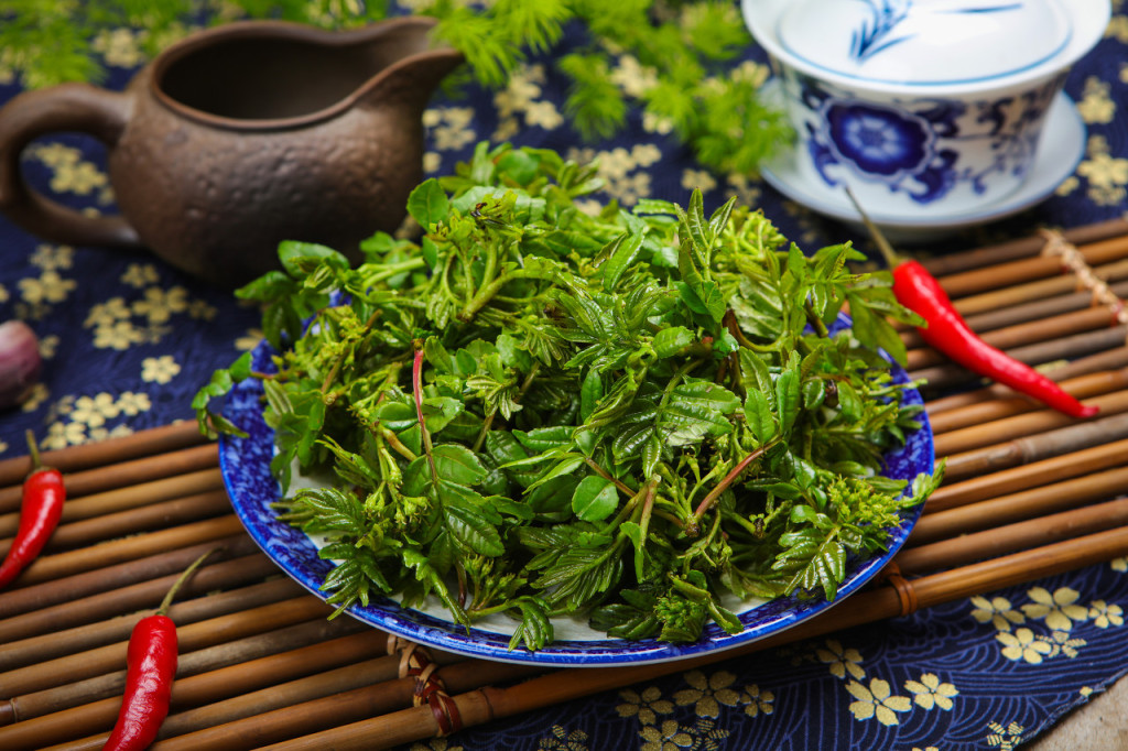 ����ѿ����Ĝ�ůӛ��