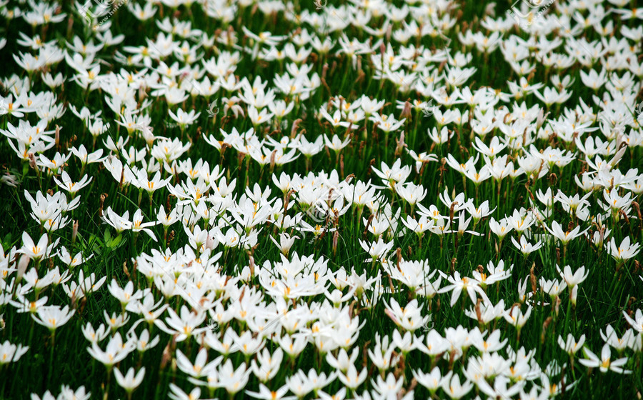 ��������[�m��