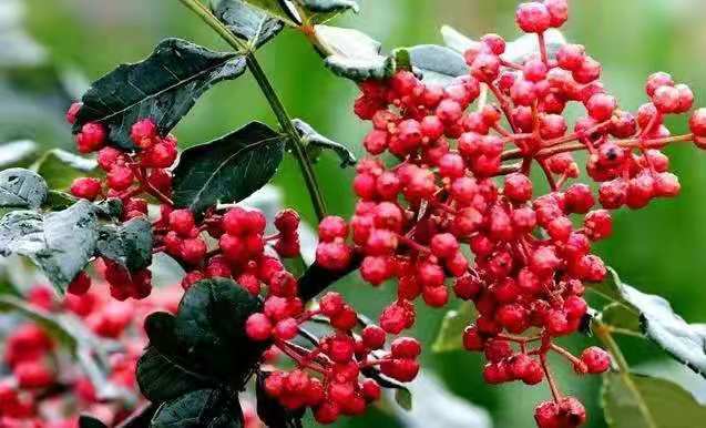 �������n��