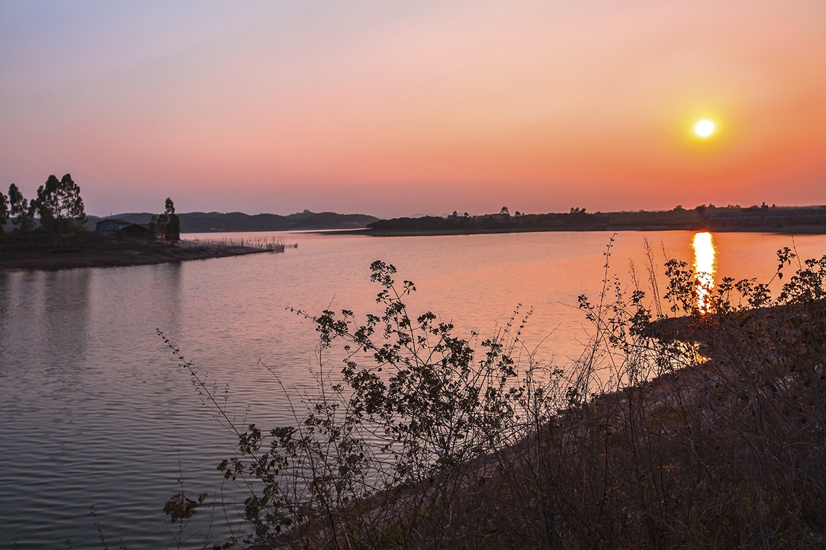 ����x�l��