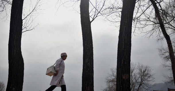 ���c���cԸ