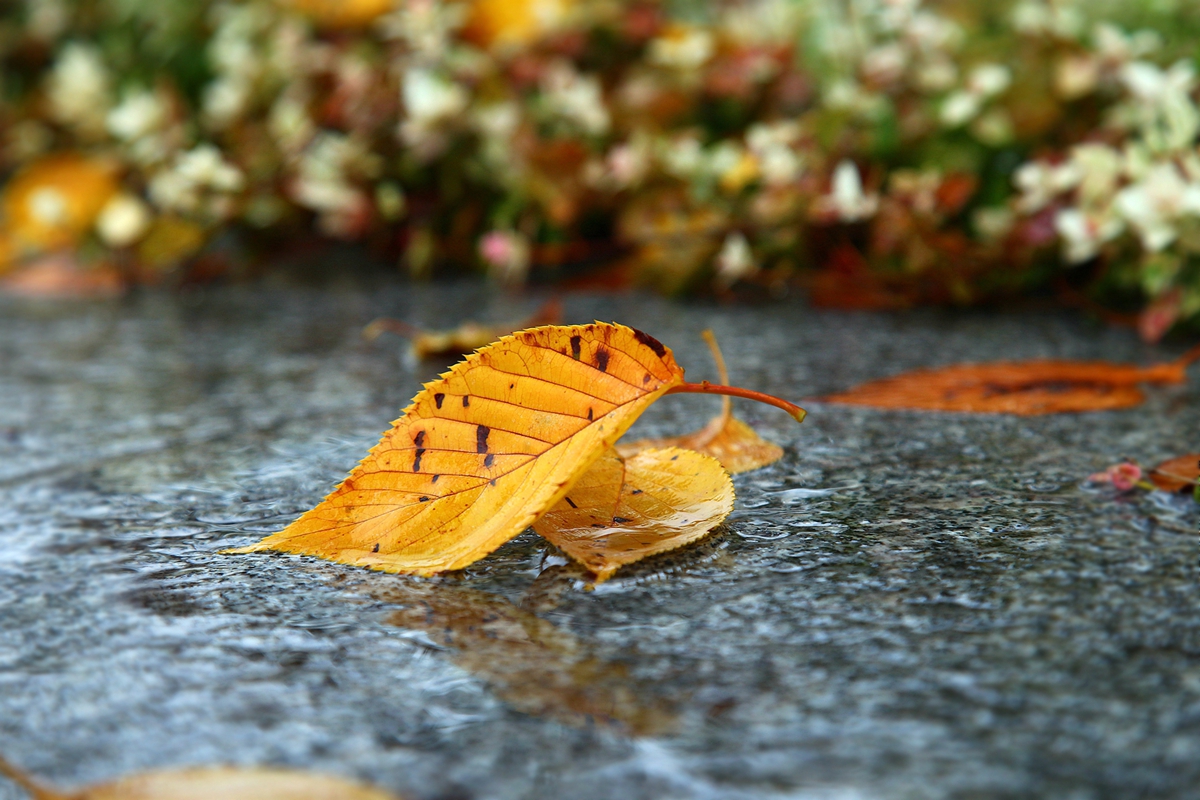 �����p�p����˼�S�S