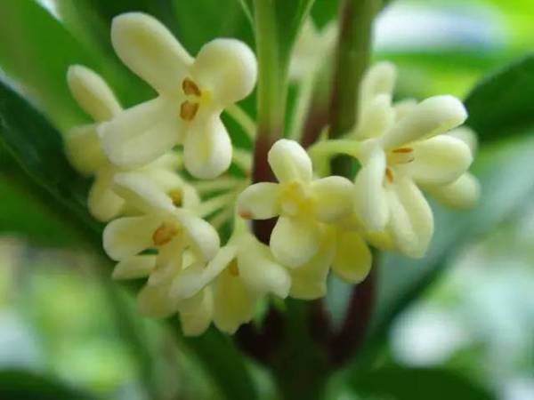 ʮ��䓳ǹ��h�� ������������r(sh��)