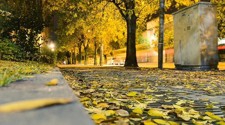 �ֵ��L���~��r���h���ô�������뎧��ȥ����