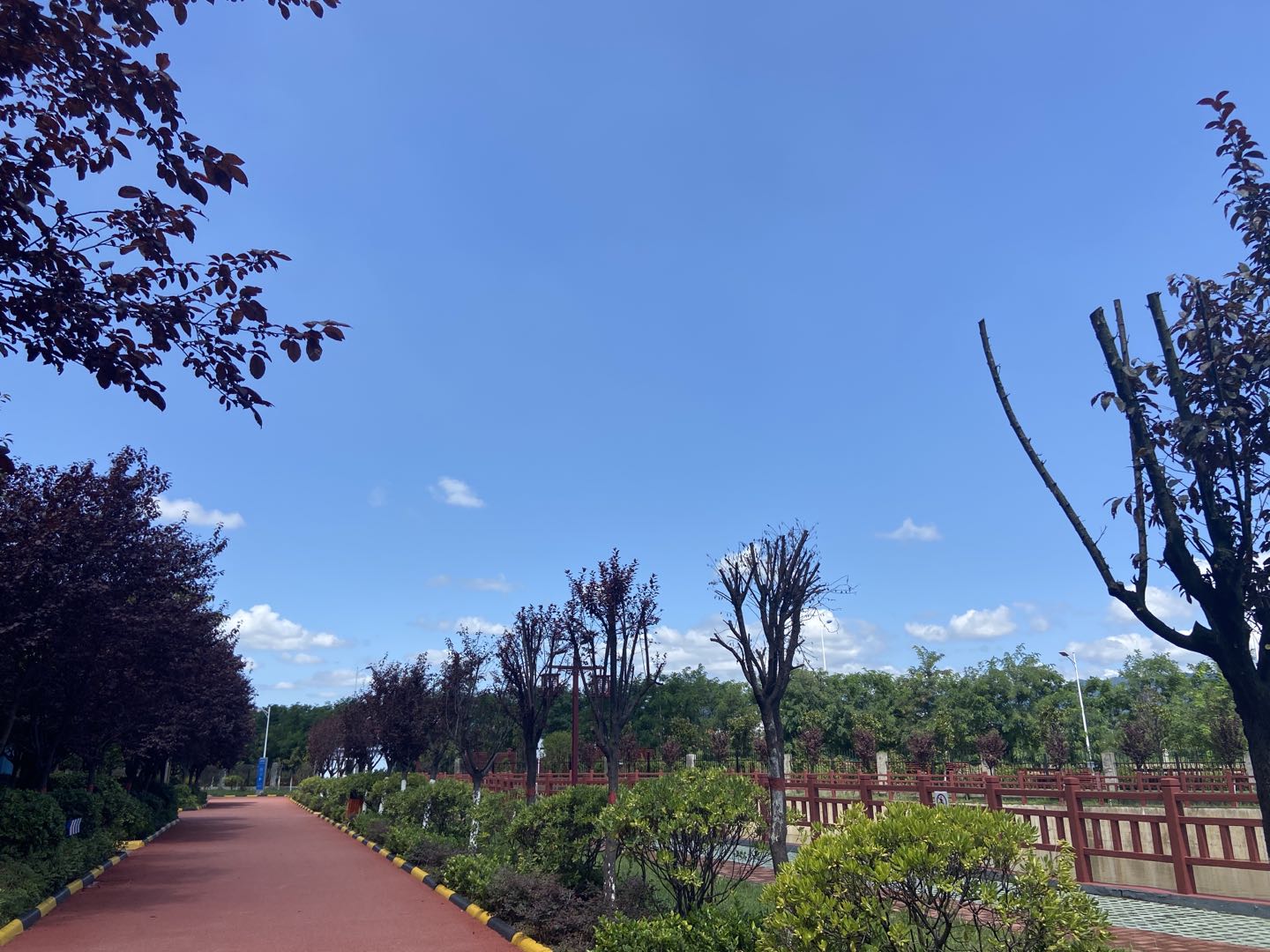 �ֵ��L���~��r���h���ô�������뎧��ȥ����