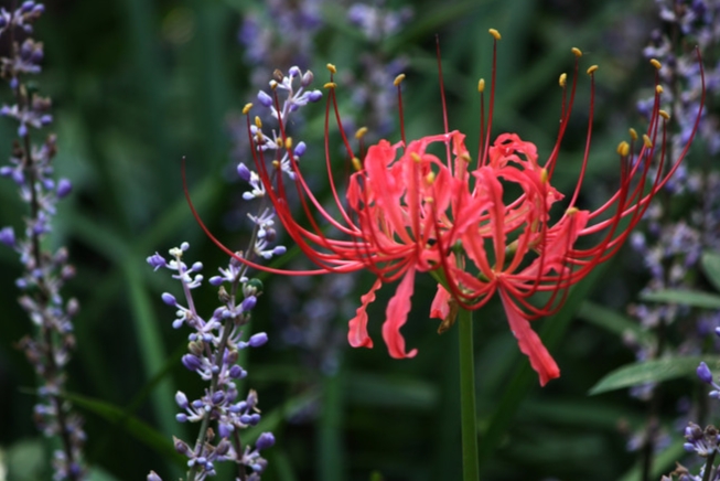 �˰����������