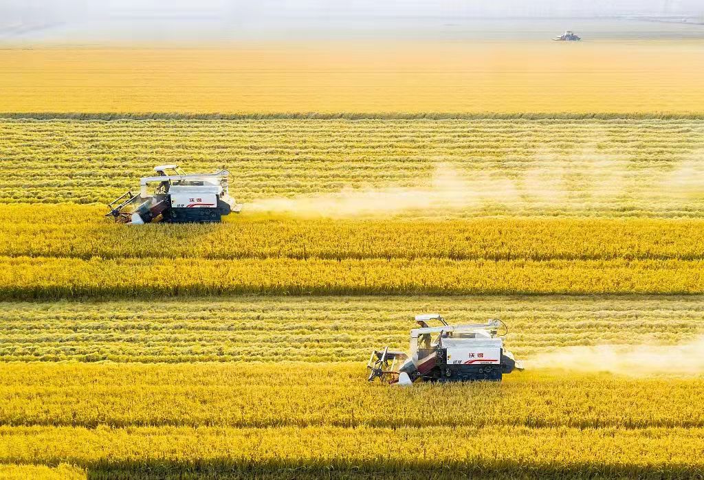 ���������f�S��