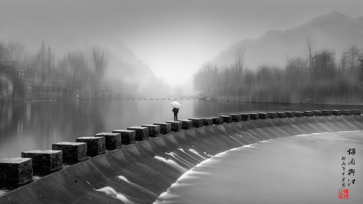 歸巢的倦鳥 歸巢的倦鳥