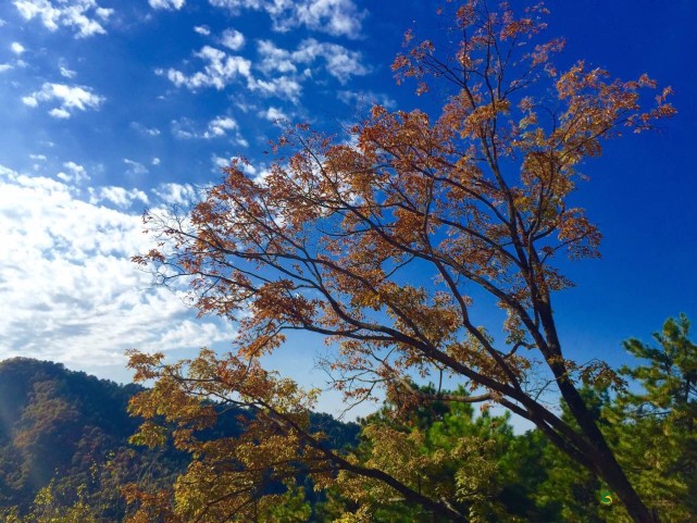 ������£����L��ˬ