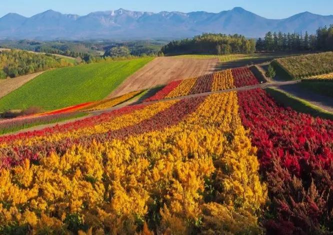 ���r���L��Ȼů