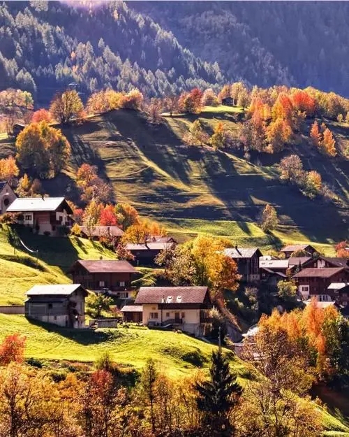 ���r���L��Ȼů