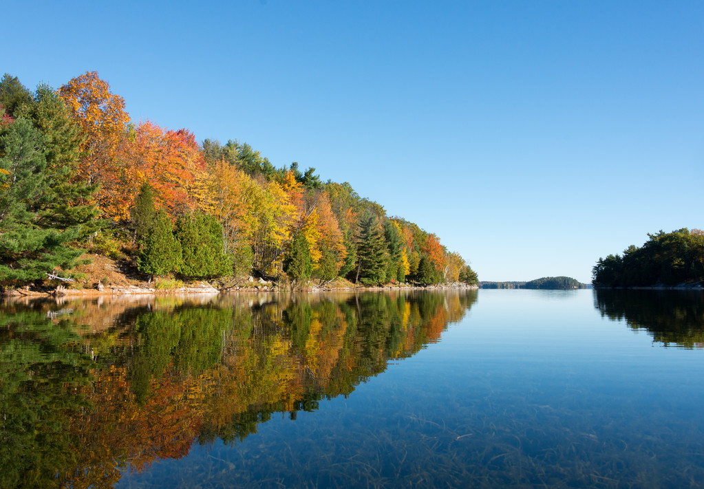 秋日暢想曲 秋日暢想曲