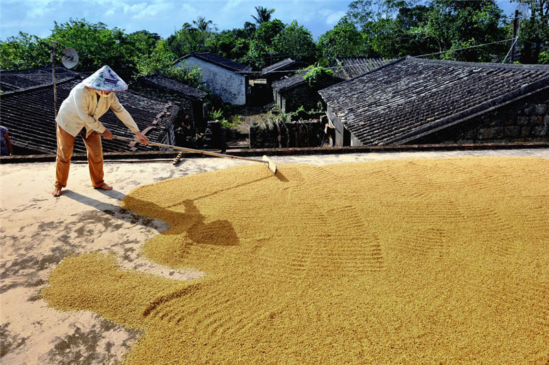 秋日物語 秋日物語