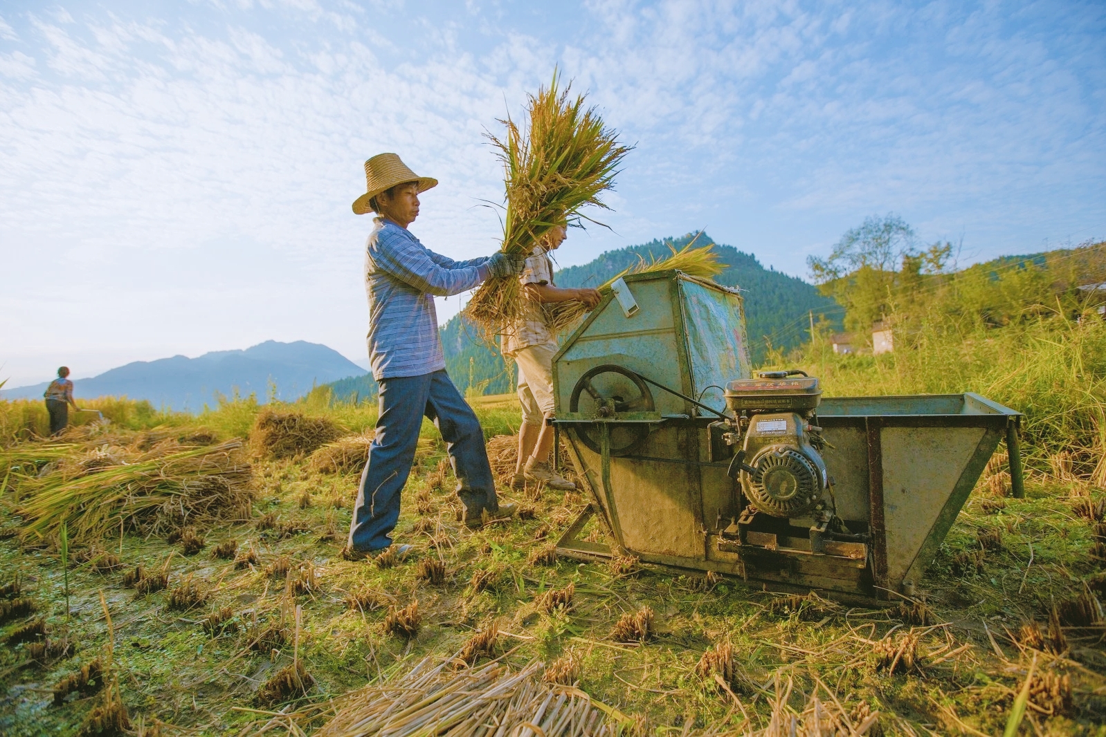 秋日物語 秋日物語