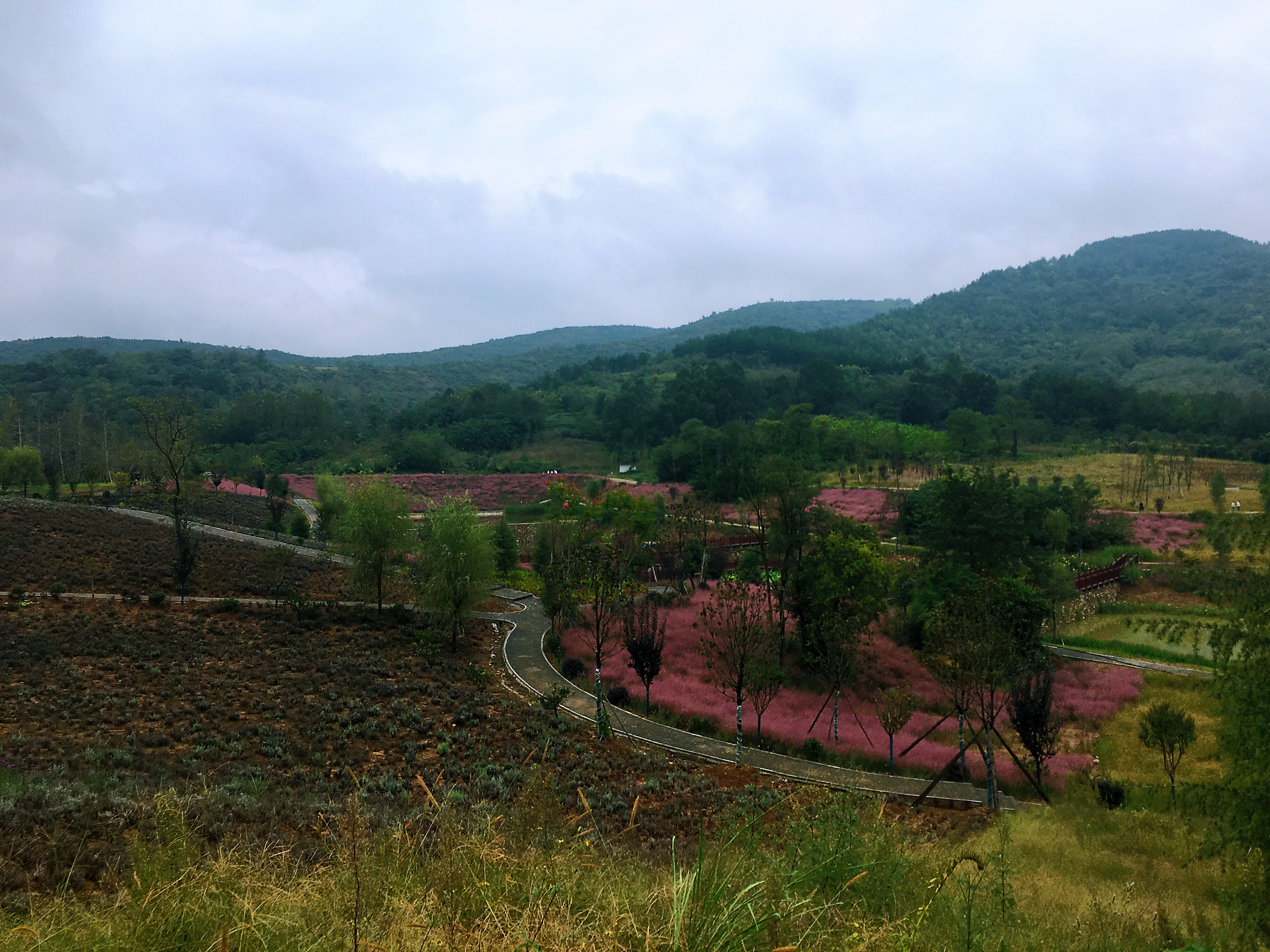 最美的遇見 最美的遇見