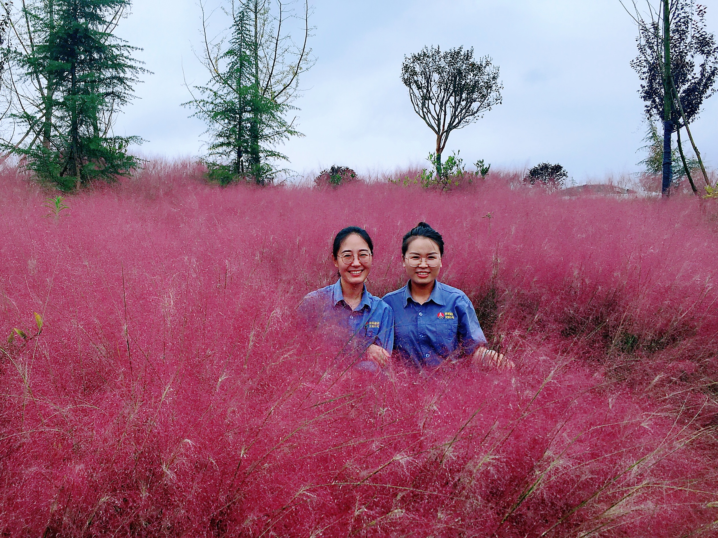 最美的遇見 最美的遇見