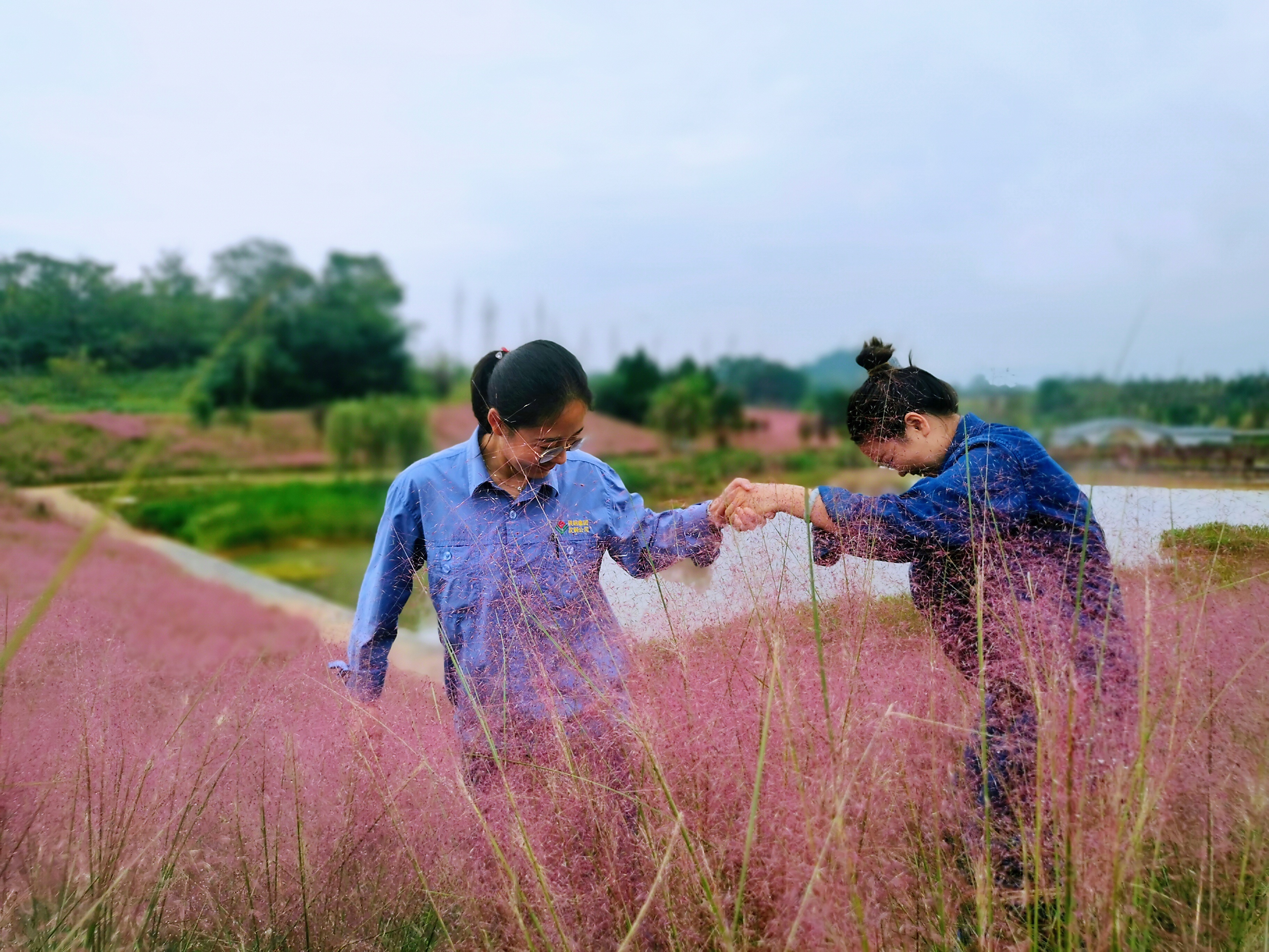 最美的遇見 最美的遇見