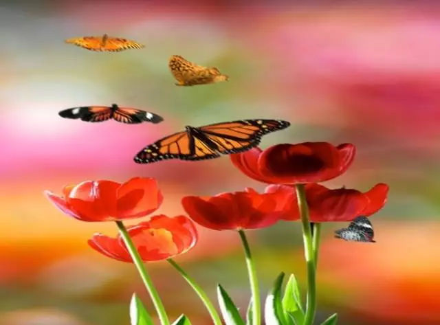 �����`�ŵ�����