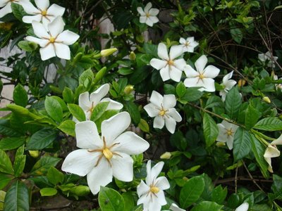 �M��d����