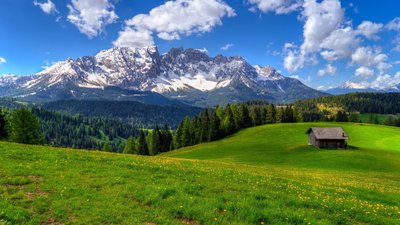 人間至味是清歡 人間至味是清歡