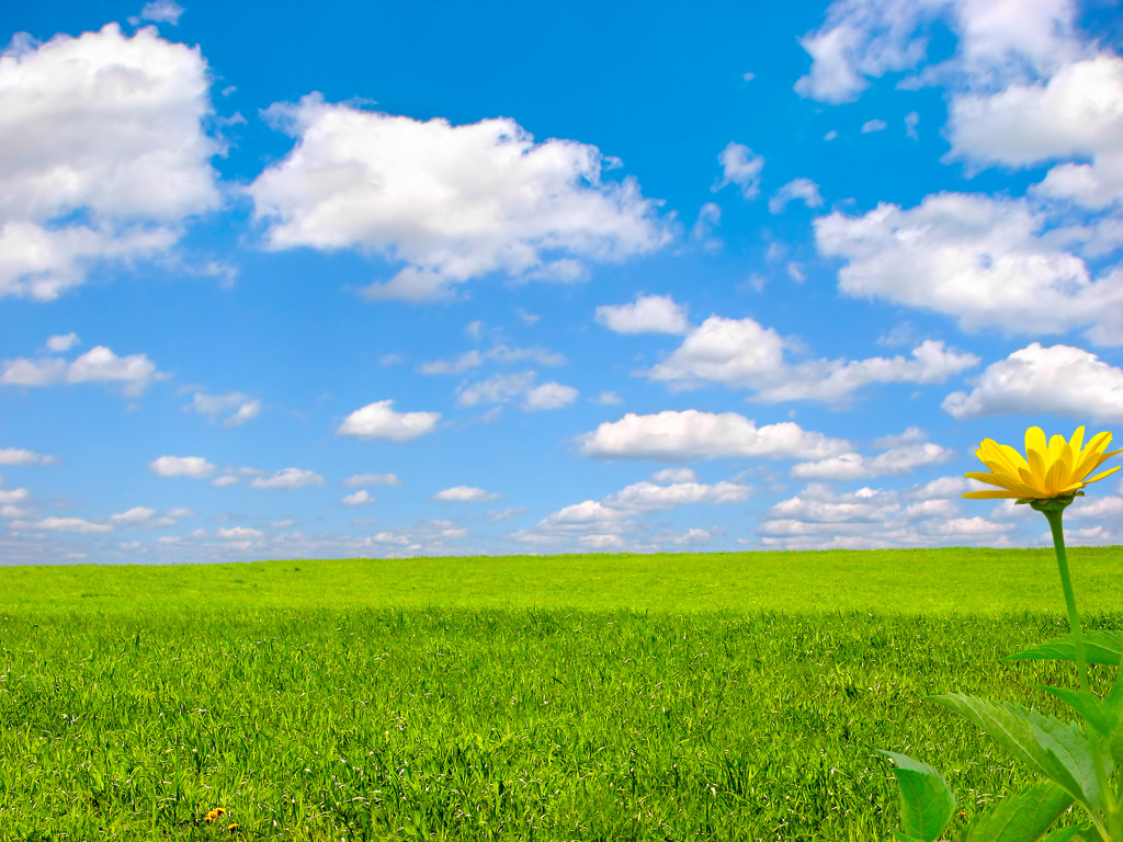 撥開層層霧霾,收獲嶄新未來 撥開層層霧霾,收獲嶄新未來