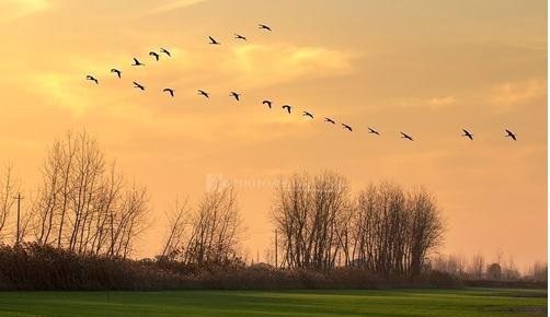 �������Z