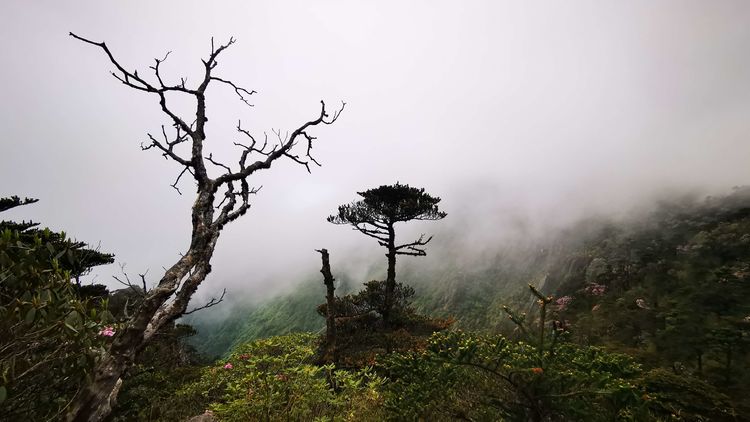 最美不過秋實 最美不過秋實