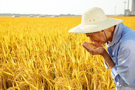 ���յ�ϲ��