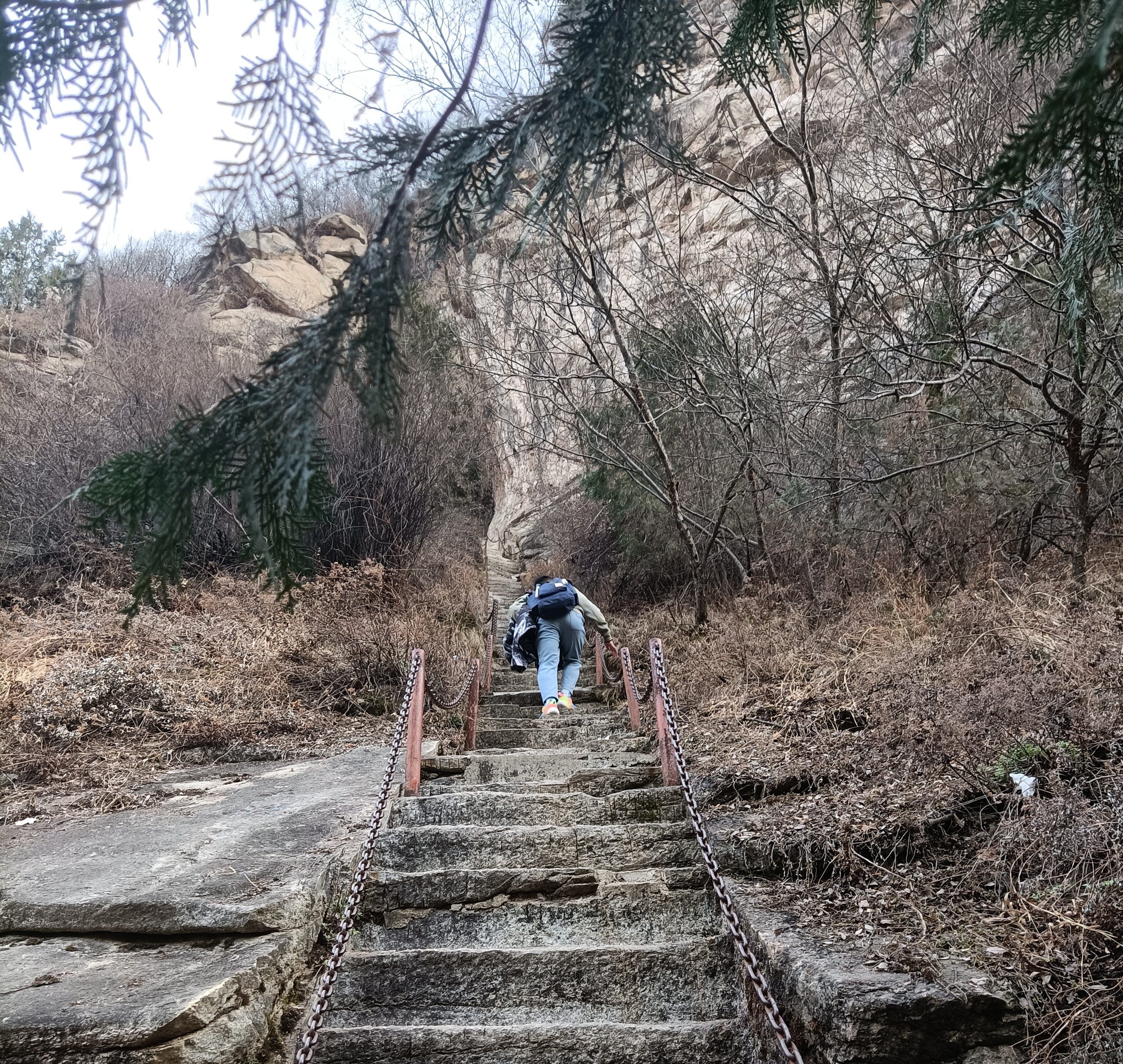 �ž����  �Ǹ��h��