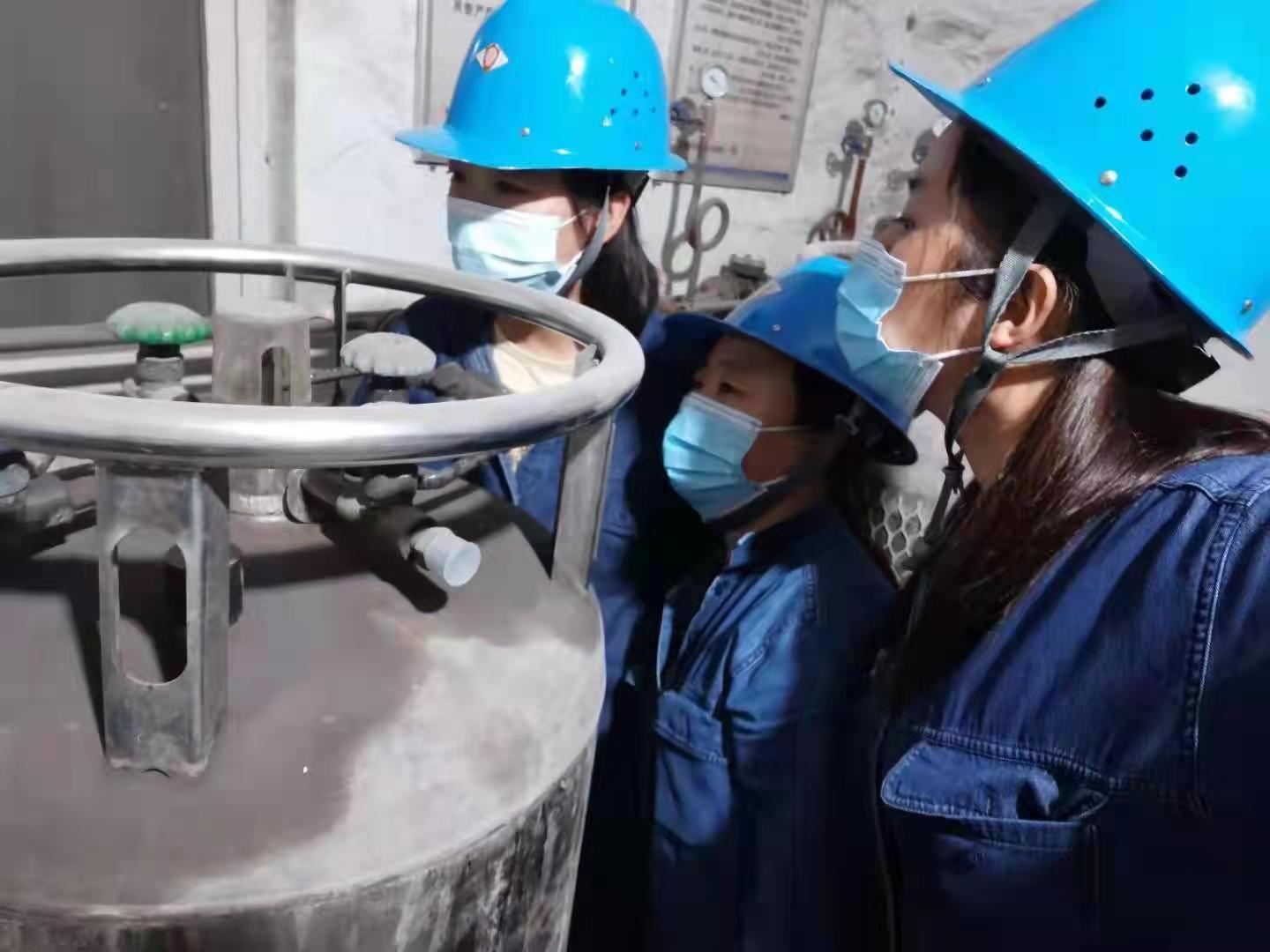 ���� ����헻�ӡ�����ץ������������